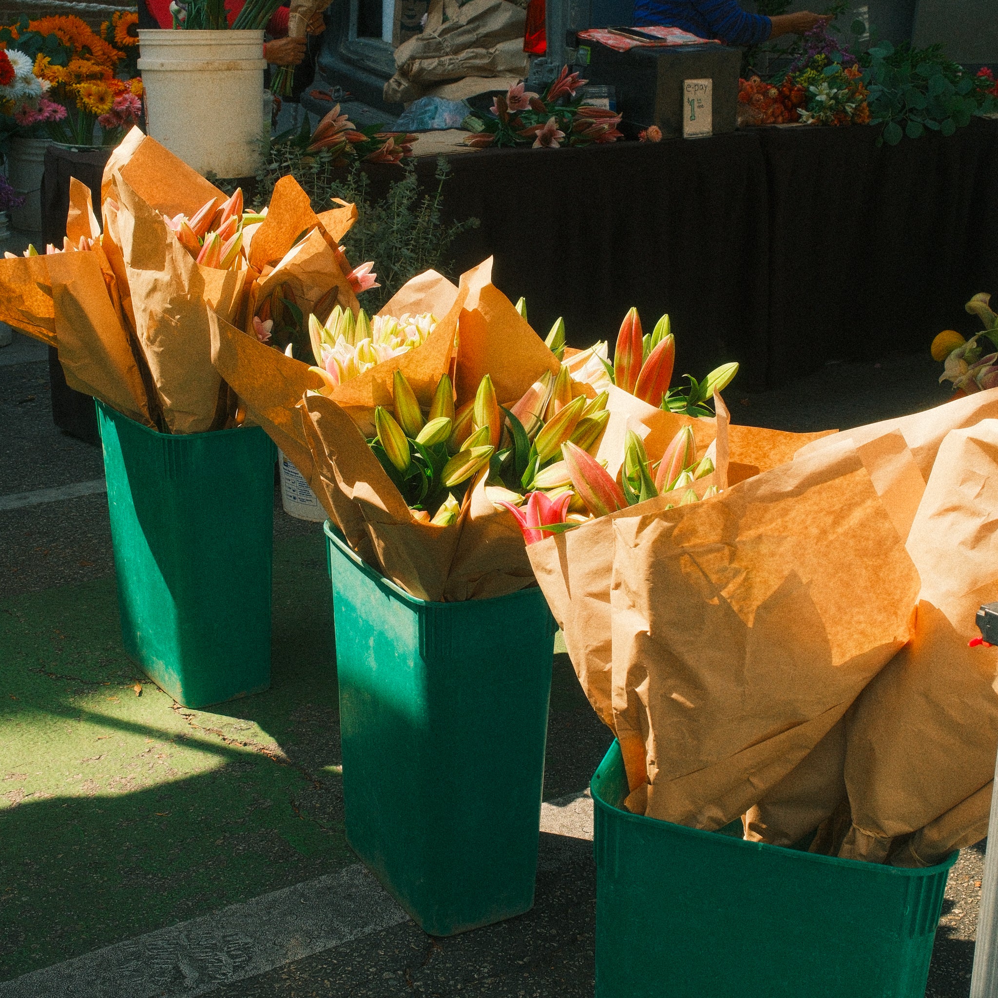 flowers in your face